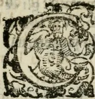 Picture 23 of 25 from Relationi della venvta degli ambasciatori giaponesi a Roma sino alla partita di Lisbona : con le accoglienze fatte loro da tutti i principi christiani per doue sono passati (1586), leaf 199