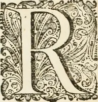 An illustration from A relation in form of journal of the voiage and residence which the most excellent and most mighty prince Charles the II, King of Great Britain, &c hath made in Holland from the 25 of May to the 2 of June, 1660 (1660)