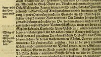 An illustration from Relationis historicae semestralis vernalis continuatio. (1693)