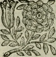 Picture 58 of 58 from Relationi vniversali di Giovanni Botero Benese, diuise in quattro parti. Arricchite di molte cose rare, e memorabili, con l'vltima mano dell'auttore (1659), leaf 1263