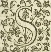 An illustration from A relation of a journey begun An: Dom: 1610. Fovre bookes. Containing a description of the Turkish Empire, of Ægypt, of the Holy Land, of the remote parts of Italy, and ilands adioyning (1621)