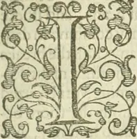 Picture 16 of 59 from A relation of a journey begun An: Dom: 1610. Fovre bookes. Containing a description of the Turkish Empire, of Ægypt, of the Holy Land, of the remote parts of Italy, and ilands adioyning (1621), leaf 94