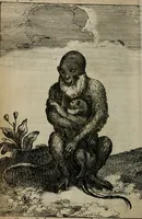 Picture 10 of 25 from Relation ou voyage de l'isle de Ceylan, dans les Indes orientales. Contenant une description exacte de cette isle, la forme de son gouvernement, le commerce, les moeurs, les coûtumes, & la religion de ses habitans: (1693), leaf 105