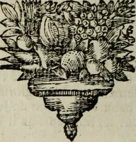 An illustration from Relation ou voyage de l'isle de Ceylan, dans les Indes orientales. Contenant une description exacte de cette isle, la forme de son gouvernement, le commerce, les moeurs, les coûtumes, & la religion de ses habitans: (1693)
