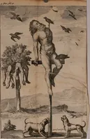 Picture 18 of 25 from Relation ou voyage de l'isle de Ceylan, dans les Indes orientales. Contenant une description exacte de cette isle, la forme de son gouvernement, le commerce, les moeurs, les coûtumes, & la religion de ses habitans: (1693), leaf 287