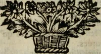 Picture 25 of 25 from Relation ou voyage de l'isle de Ceylan, dans les Indes orientales. Contenant une description exacte de cette isle, la forme de son gouvernement, le commerce, les moeurs, les coûtumes, & la religion de ses habitans: (1693), leaf 481