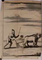 Picture 5 of 25 from Relation ou voyage de l'isle de Ceylan, dans les Indes orientales. Contenant une description exacte de cette isle, la forme de son gouvernement, le commerce, les moeurs, les coûtumes, & la religion de ses habitans: (1693), leaf 53
