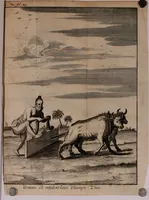 Picture 6 of 25 from Relation ou voyage de l'isle de Ceylan, dans les Indes orientales. Contenant une description exacte de cette isle, la forme de son gouvernement, le commerce, les moeurs, les coûtumes, & la religion de ses habitans: (1693), leaf 57