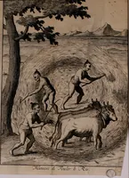 Picture 7 of 25 from Relation ou voyage de l'isle de Ceylan, dans les Indes orientales. Contenant une description exacte de cette isle, la forme de son gouvernement, le commerce, les moeurs, les coûtumes, & la religion de ses habitans: (1693), leaf 61