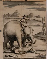 An illustration from Relation ou voyage de l'isle de Ceylan, dans les Indes orientales. Contenant une description exacte de cette isle, la forme de son gouvernement, le commerce, les moeurs, les coûtumes, & la religion de ses habitans: (1693)