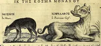 Picture 10 of 26 from Relations de divers voyages curieux, qui n'ont point esté publiees; : ov qvi ont esté traduites d'Haclvyt; de Purchas, & d'autres voyageurs anglois, hollandois, portugais, allemands, espagnols; et de qvelqves Persans, Arabes, et avtres auteurs orientaux. Enrichies de figures de plantes non décrites, d'animaux inconnus à l'Europe, & de cartes geographiques de pays dont on n'a point encore donné de cartes (1664), leaf 286