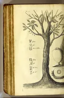 An illustration from Relations de divers voyages curieux, qui n'ont point esté publiees; : ov qvi ont esté traduites d'Haclvyt; de Purchas, & d'autres voyageurs anglois, hollandois, portugais, allemands, espagnols; et de qvelqves Persans, Arabes, et avtres auteurs orientaux. Enrichies de figures de plantes non décrites, d'animaux inconnus à l'Europe, & de cartes geographiques de pays dont on n'a point encore donné de cartes (1664)