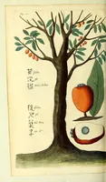 An illustration from Relations de divers voyages curieux, qui n'ont point esté publiees; : ov qvi ont esté traduites d'Haclvyt; de Purchas, & d'autres voyageurs anglois, hollandois, portugais, allemands, espagnols; et de qvelqves Persans, Arabes, et avtres auteurs orientaux. Enrichies de figures de plantes non décrites, d'animaux inconnus à l'Europe, & de cartes geographiques de pays dont on n'a point encore donné de cartes (1664)