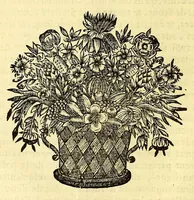 An illustration from Relations de divers voyages curieux, qui n'ont point esté publiees; : ov qvi ont esté traduites d'Haclvyt; de Purchas, & d'autres voyageurs anglois, hollandois, portugais, allemands, espagnols; et de qvelqves Persans, Arabes, et avtres auteurs orientaux. Enrichies de figures de plantes non décrites, d'animaux inconnus à l'Europe, & de cartes geographiques de pays dont on n'a point encore donné de cartes (1664)