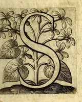 Picture 2 of 26 from Relations de divers voyages curieux, qui n'ont point esté publiees; : ov qvi ont esté traduites d'Haclvyt; de Purchas, & d'autres voyageurs anglois, hollandois, portugais, allemands, espagnols; et de qvelqves Persans, Arabes, et avtres auteurs orientaux. Enrichies de figures de plantes non décrites, d'animaux inconnus à l'Europe, & de cartes geographiques de pays dont on n'a point encore donné de cartes (1664), leaf 9