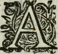 An illustration from Relations historiques et curieuses de voyages en Allemagne, Angleterre, Hollande, Boheme, Suisse, &c. (1695)