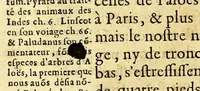 An illustration from Relations veritables et curieuses de l'isle de Madagascar, et du Bresil. : Auec l'histoire de la derniere guerre faite au Bresil, entre les Portugais et les Hollandois. ; Trois relations d'Egypte, & vne du royaume de Perse (1651)