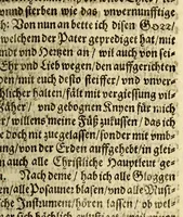 Picture 12 of 16 from Relatio. Welche Philippo. IV. König in Hispanien, & c. R.P.F. Ioannes de Santander ... durch R.P.F. Alphonsum de Benavides ... vbergeben lassen. ... (1634), leaf 101