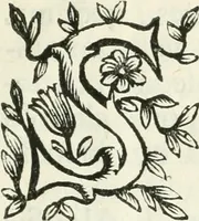 Picture 5 of 6 from Relazione dell'eseqvie fatte dall'illvstrissima citta di Lodi per la morte della Sacra Maesta della reina di Spagna Maria Lvisa di Borbone nella Chiesa della Santissima Coronata, il dì 12. maggio 1689 (1689), leaf 34
