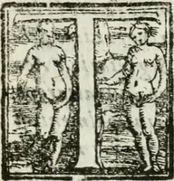 An illustration from Relazione del torneo a cauallo, e a piedi : fatto questo carneuale in Ferrara per ordine dell'Accademia : doue s'intende il grande apparato, e la marauigliosa inuenzione del sig. Enzo Bentiuogli nel comparire a mantenerlo : con la descrizione delle pompose liuree de' caualieri combattenti (1612)