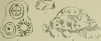 An illustration from La religion des Gaulois : les Druides et la druidisme : leçons professées à l'École du Louvre en 1896 (1897)