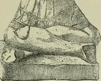 An illustration from La religion des Gaulois : les Druides et la druidisme : leçons professées à l'École du Louvre en 1896 (1897)
