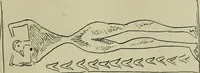 An illustration from La religion des Gaulois : les Druides et la druidisme : leçons professées à l'École du Louvre en 1896 (1897)