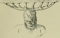 Picture 67 of 93 from La religion des Gaulois : les Druides et la druidisme : leçons professées à l'École du Louvre en 1896 (1897), leaf 380