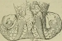 An illustration from La religion des Gaulois : les Druides et la druidisme : leçons professées à l'École du Louvre en 1896 (1897)