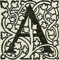 An illustration from Religio pictoris (1899)