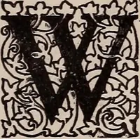An illustration from Religio pictoris (1899)