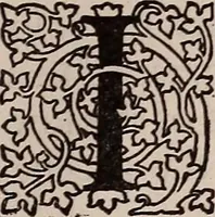 An illustration from Religio pictoris (1899)