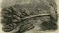 Picture 44 of 51 from Religious allegories : being a series of emblematic engravings, with written explanations, miscellaneous observations, and religious reflections, designed to illustrate divine truth, in accordance with the cardinal principles of Christianity (1848), leaf 143