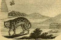 An illustration from Religious emblems and allegories : a series of engravings, with suitable letter-press, designed to illustrate divine truth (1868)