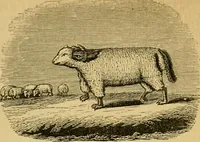 An illustration from Religious emblems and allegories : a series of engravings, with suitable letter-press, designed to illustrate divine truth (1868)