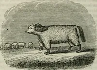 An illustration from Religious emblems : being a series of emblematic engravings, with written explanations, miscellaneous observations and religious reflections, designed to illustrate divine truth, in accordance with the cardinal principles of Christianity ; Religious allegories : being a series of emblematic engravings, with written explanations, miscellaneous observations, and religious reflections, designed to illustrate divine truth, in accordance with the cardinal principles of Christianity (1851)