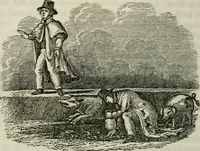 An illustration from Religious emblems : being a series of emblematic engravings, with written explanations, miscellaneous observations and religious reflections, designed to illustrate divine truth, in accordance with the cardinal principles of Christianity ; Religious allegories : being a series of emblematic engravings, with written explanations, miscellaneous observations, and religious reflections, designed to illustrate divine truth, in accordance with the cardinal principles of Christianity (1851)