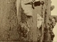 An illustration from The religious system of China, its ancient forms, evolution, history and present aspect, manners, customs and social institutions connected therewith (1892)