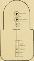 Picture 37 of 42 from The religious system of China, its ancient forms, evolution, history and present aspect, manners, customs and social institutions connected therewith (1892), leaf 516
