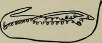 An illustration from The religious system of China, its ancient forms, evolution, history and present aspect, manners, custom and social institutions connected therewith (1892)