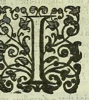 Picture 6 of 17 from Remaines, concerning Britaine: but especially England, and the inhabitants thereof. Their languages. Names. Surnames. Allusions. Anagrammes. Armories. Monies. Empreses. Apparell. Artillary. Wise speeches. Prouerbs. Poesies. Epitaphs (1623), leaf 151