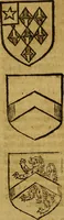 Picture 20 of 44 from Remaines concerning Britaine : their Languages. Names. Surnames. Allusions. Anagrammes. Armories. Monies. Empresses. Apparell. Artillarie. Wise speeches. Proverbs. Poesies. Epitaphes. (1636), leaf 221