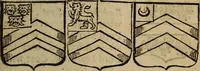 Picture 11 of 19 from Remains concerning Britain: : their languages, names, surnames, allusions, anagramms, armories, moneys, impresses, apparel, artillerie, wise speeches, proverbs, poesies, epitaphs (1674), leaf 296