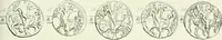 An illustration from Remarks on certain dates occurring on the coins of the Hindu kings of Kul : expressed in the Gupta era and in Arabic (or quasi-Arabic) numerals (1882)