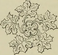 Picture 20 of 41 from Remarks on English churches and on the expediency of rendering sepulchral memorials subservient to pious and Christian uses (1843), leaf 185