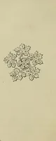An illustration from Remarks on English churches and on the expediency of rendering sepulchral memorials subservient to pious and Christian uses (1843)