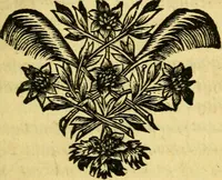 An illustration from Remarques critiques sur les oeuvres d'Horace : avec une nouvelle traduction .. (1681)