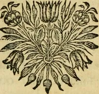 An illustration from Remarques critiques sur les oeuvres d'Horace : avec une nouvelle traduction .. (1681)
