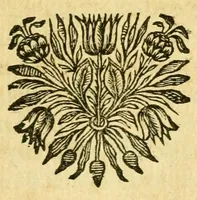 An illustration from Remarques critiques sur les oeuvres d'Horace : avec une nouvelle traduction .. (1681)