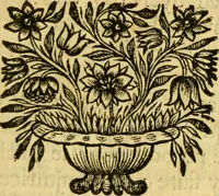 Picture 14 of 15 from Remarques critiques sur les oeuvres d'Horace : avec une nouvelle traduction .. (1681), leaf 476